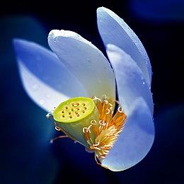 《暗黑破坏神4》《剑风传奇》联动详情公布 野蛮人获狂战士护甲